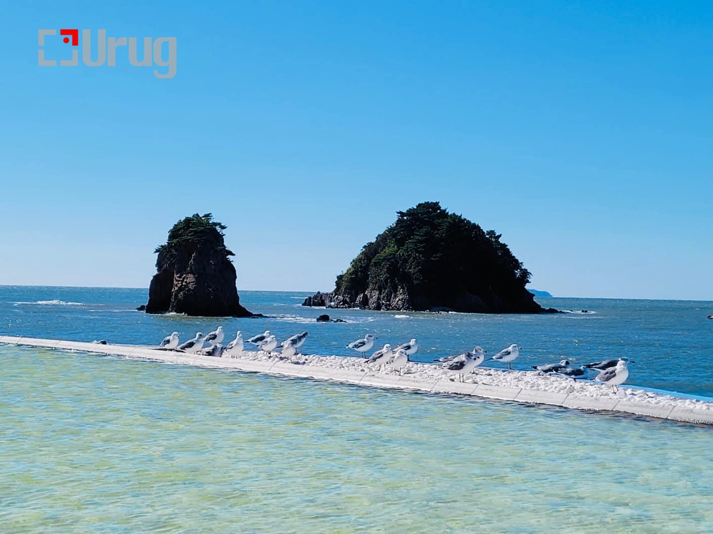 014acc5c-ac32-436a-925d-75d978ad6ecc