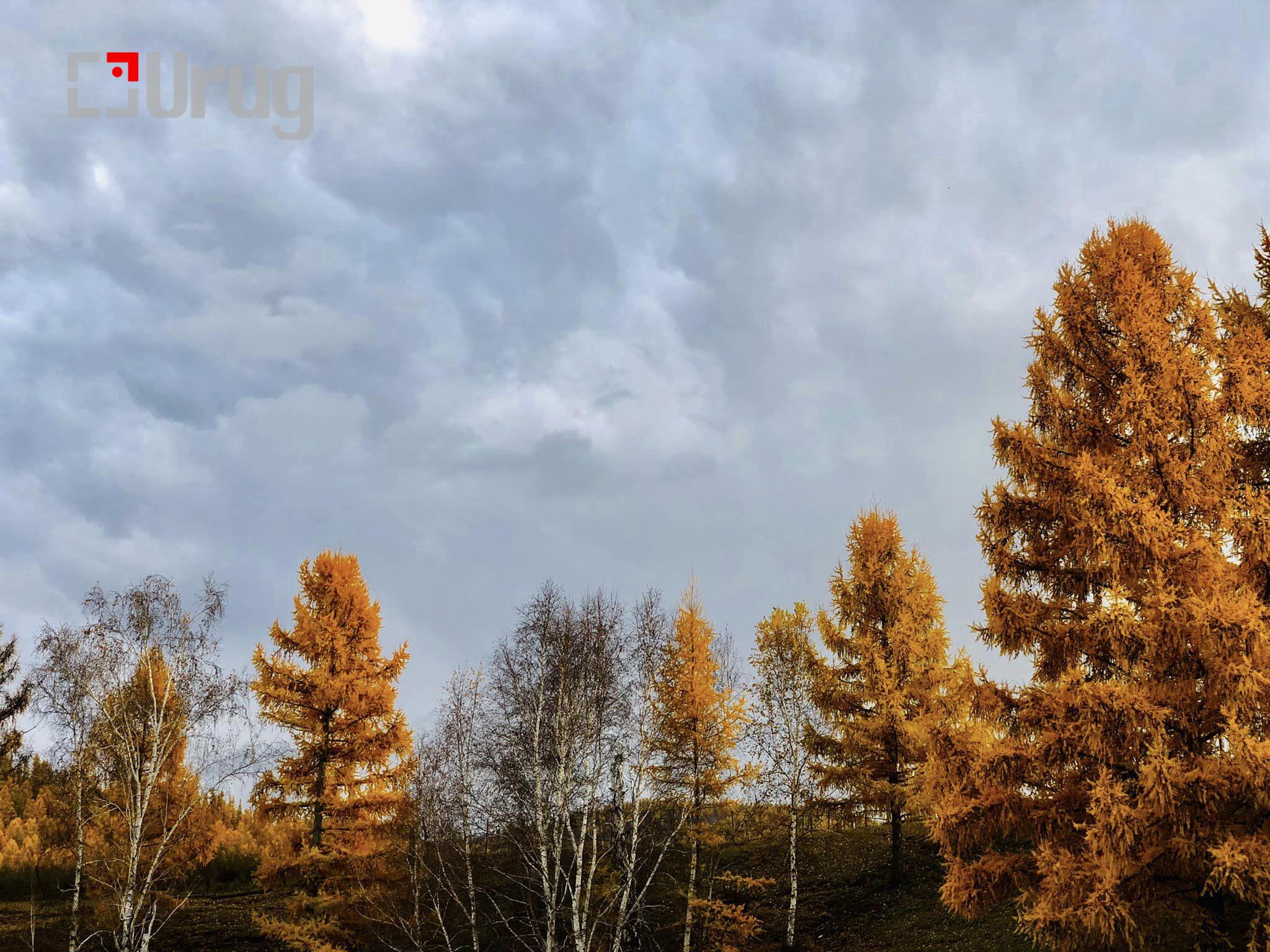 387146638_603748595300020_2367397280138063207_n