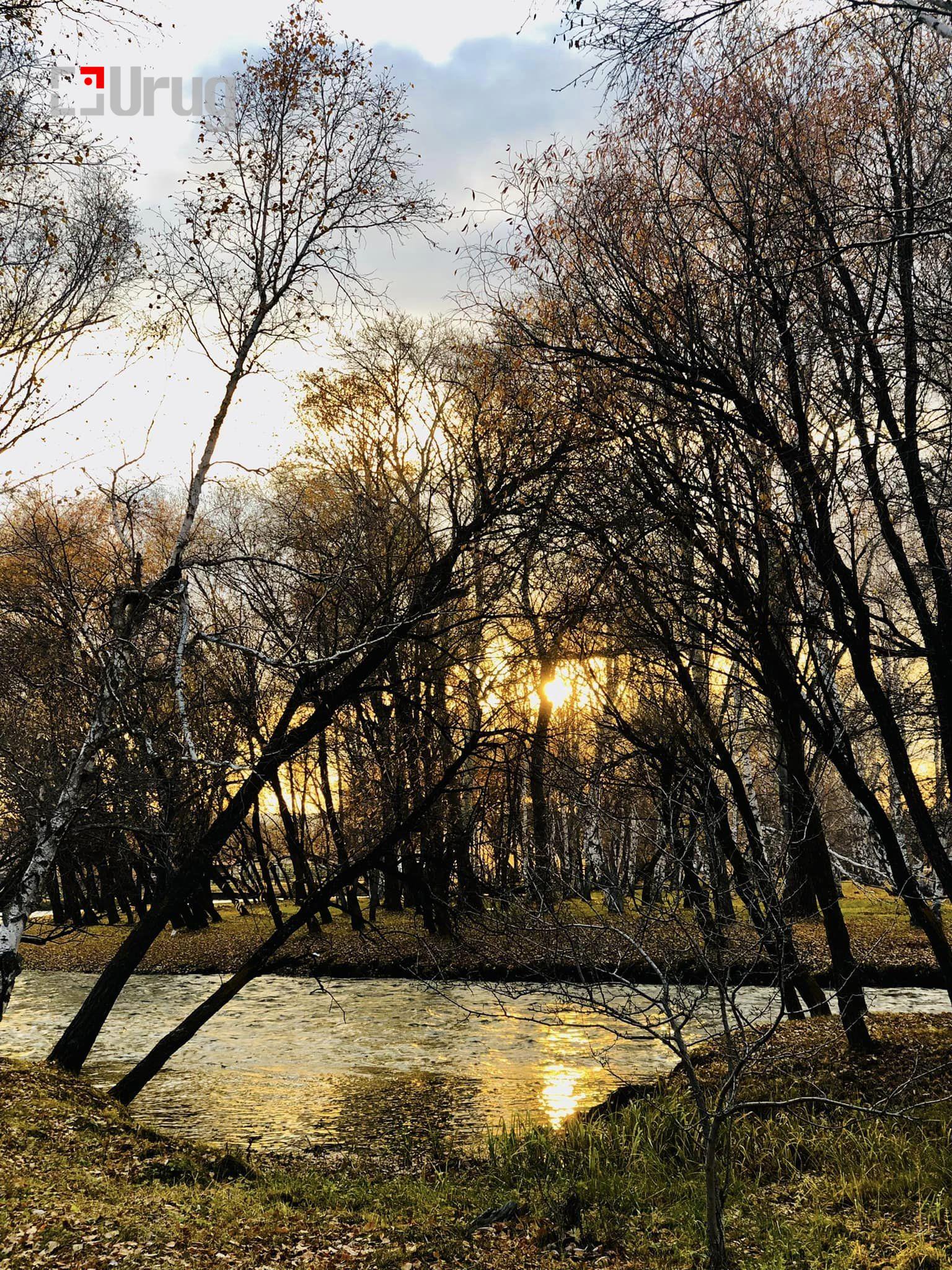 387187836_603748755300004_3244726830237163899_n