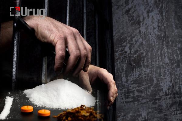 4pedebrtp5ljb25gqppf6lnq6n_l (1)