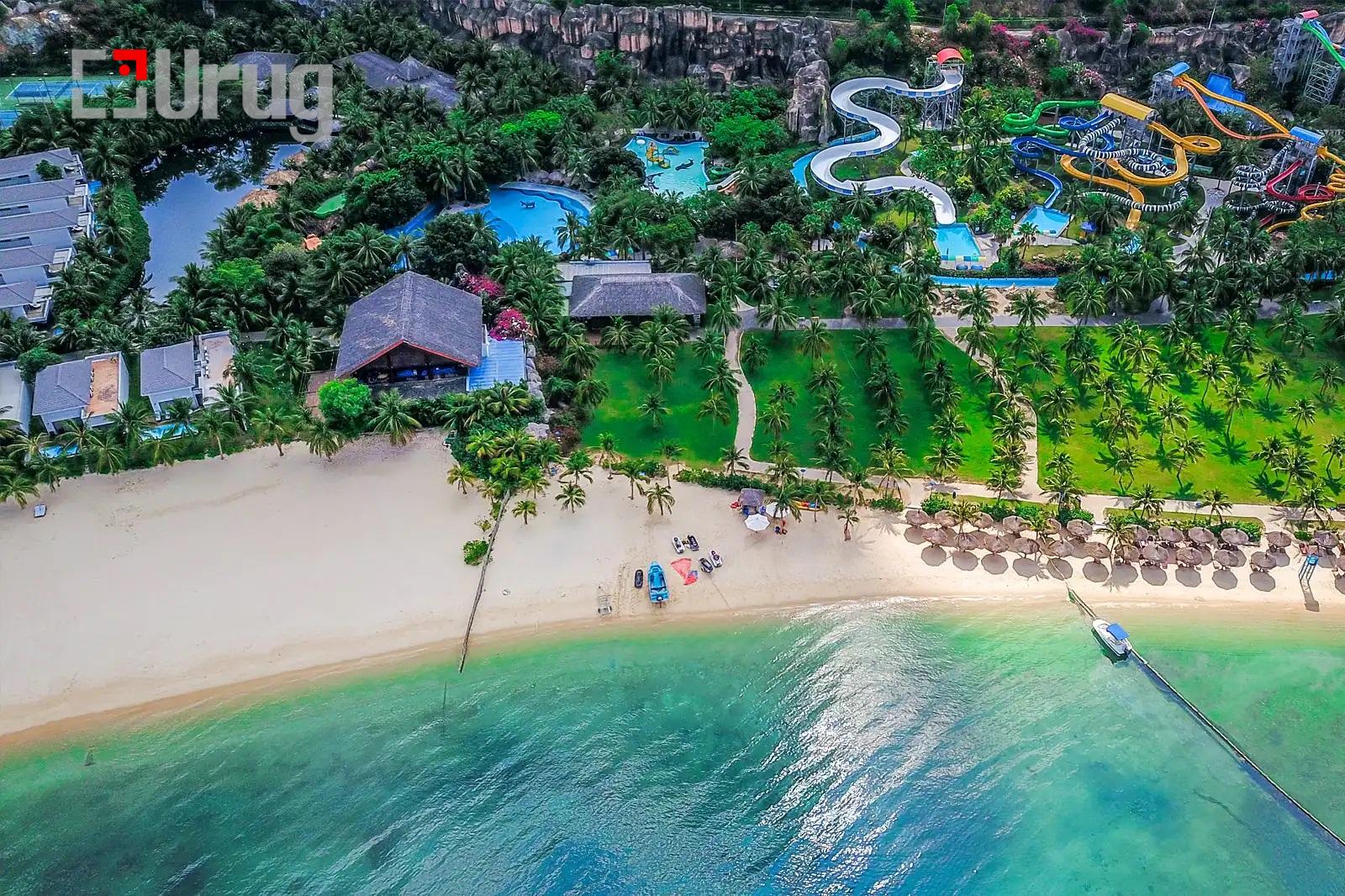 9938b62b-56e8-4b56-a720-b7b558e56fe5