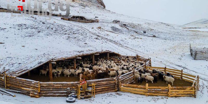 BGFFFGGGGGGGGGG-800×400 (1)