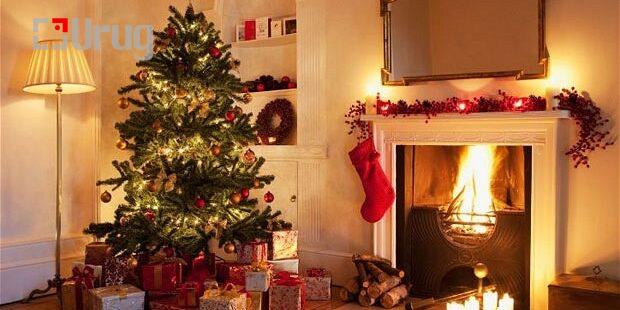 bcbf9b43-9534-461f-b314-5344ce11134e-620×310