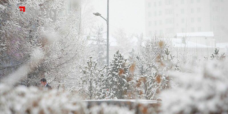 ЦАГ_АГААР-800×400