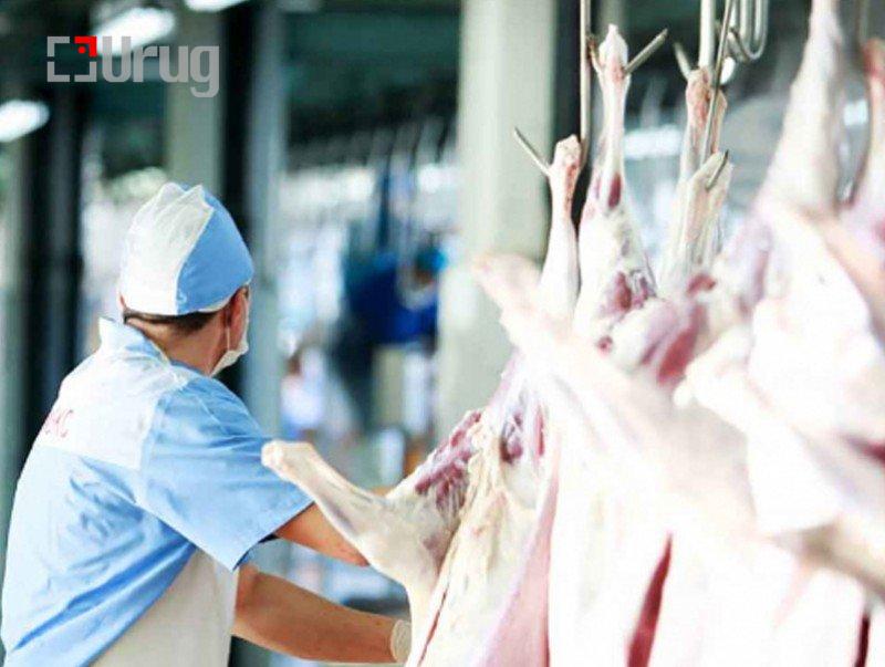 125d6392597a11335923be4b93aa0d0a_x3