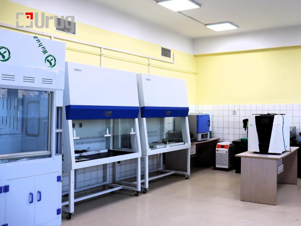 -20012025-1737350733-957366234-large-678da2aa6ddbd02d08d9b305