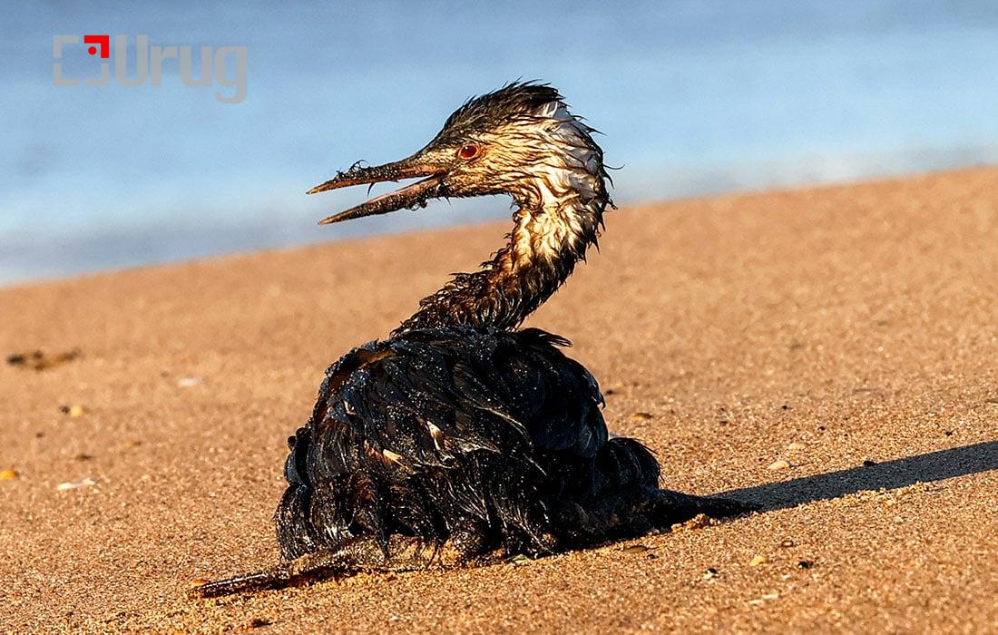 3cd6acbe-d766-4c06-aa3a-68b2f8cceb5d