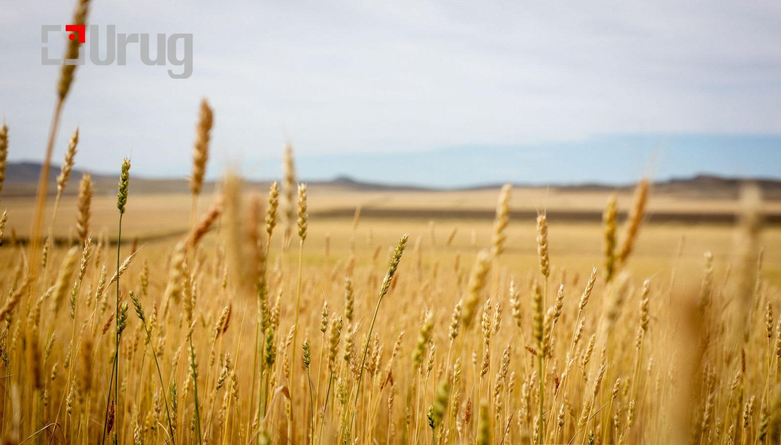 atar-4-e1577331737241