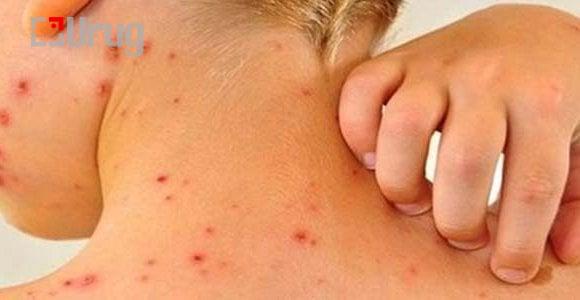 d2e2c0ef-3b4e-47f3-b38a-372977bf20fc