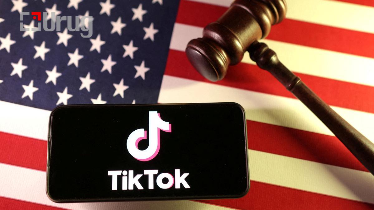 tiktok usa
