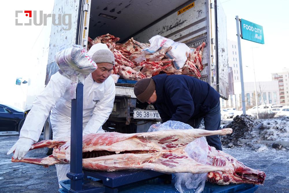 328233-25022025-1740446781-1895969792-67bd18e8b754a95b1a29e1f8