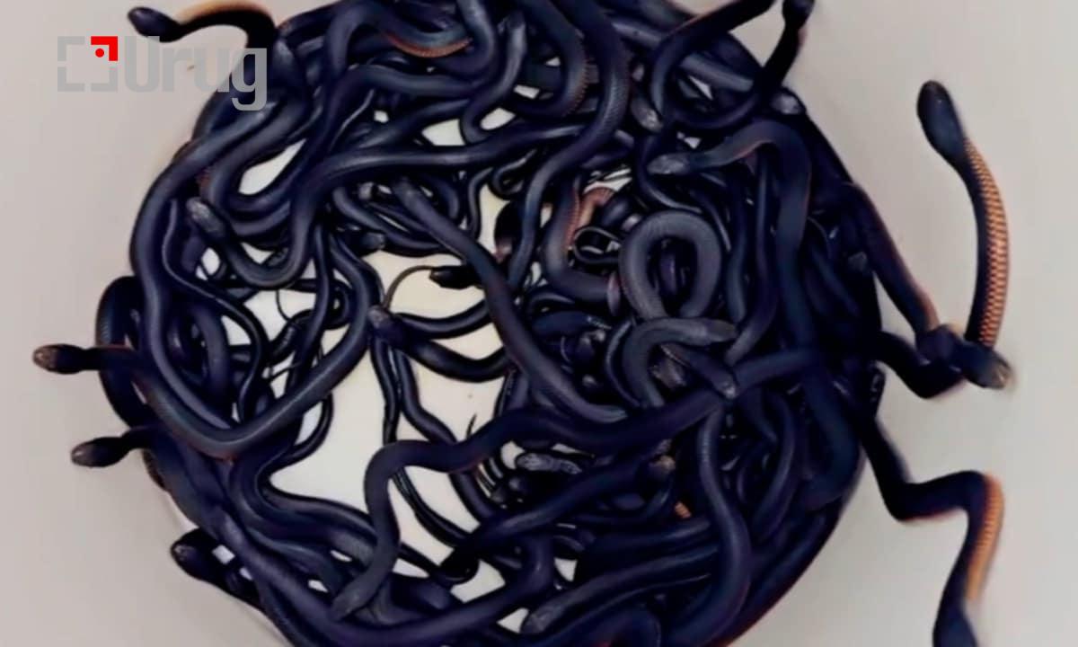 85e3b697-5f0b-4666-90c8-b5b129ef8a0b