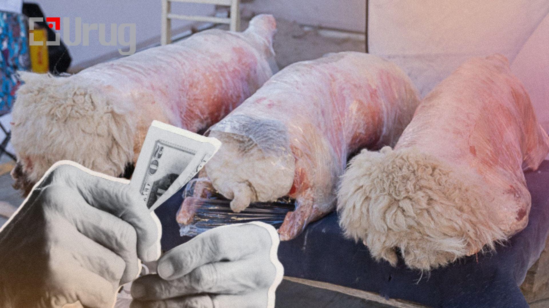 9562b84c-6cf3-42cb-97d6-ce8a0928f102