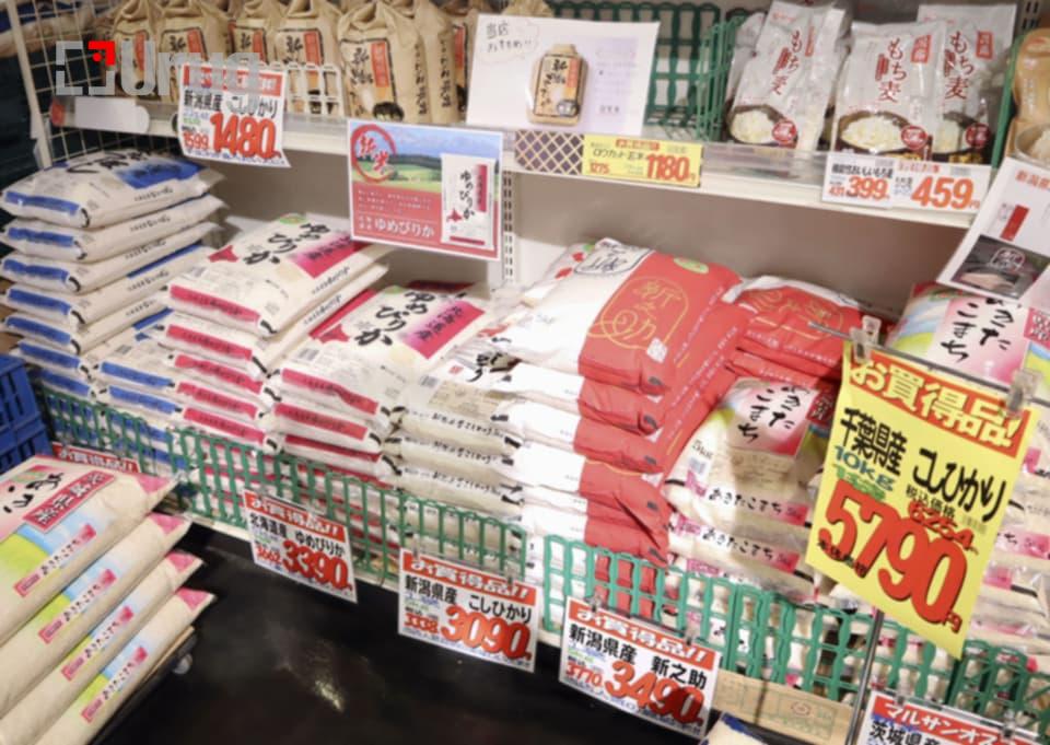 Messenger_creation_FF00C6CD-AE5C-44C2-B372-E98C125FE8FB