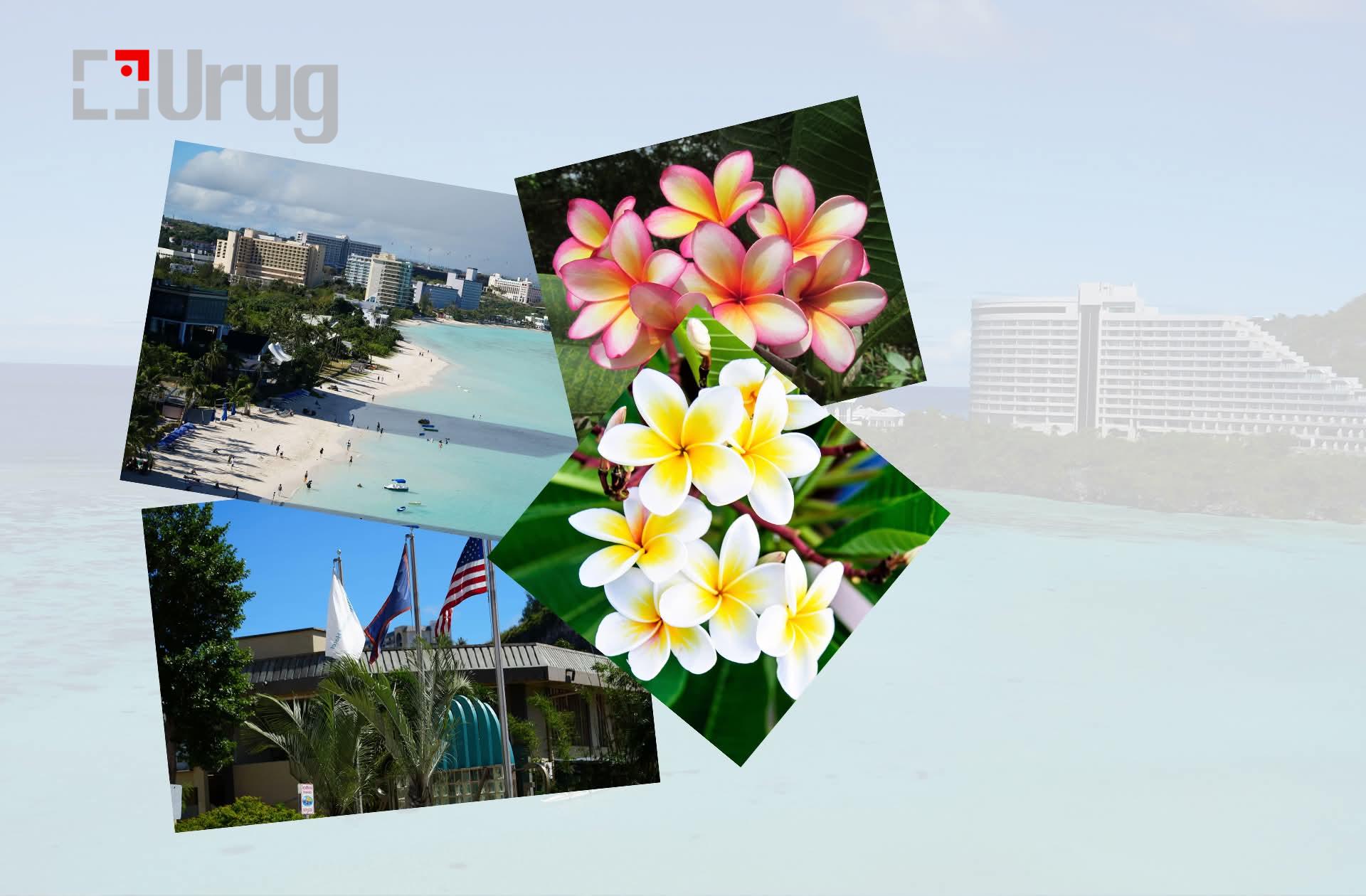 bbdfe5bf-8496-4450-b298-53bf6bce96fb