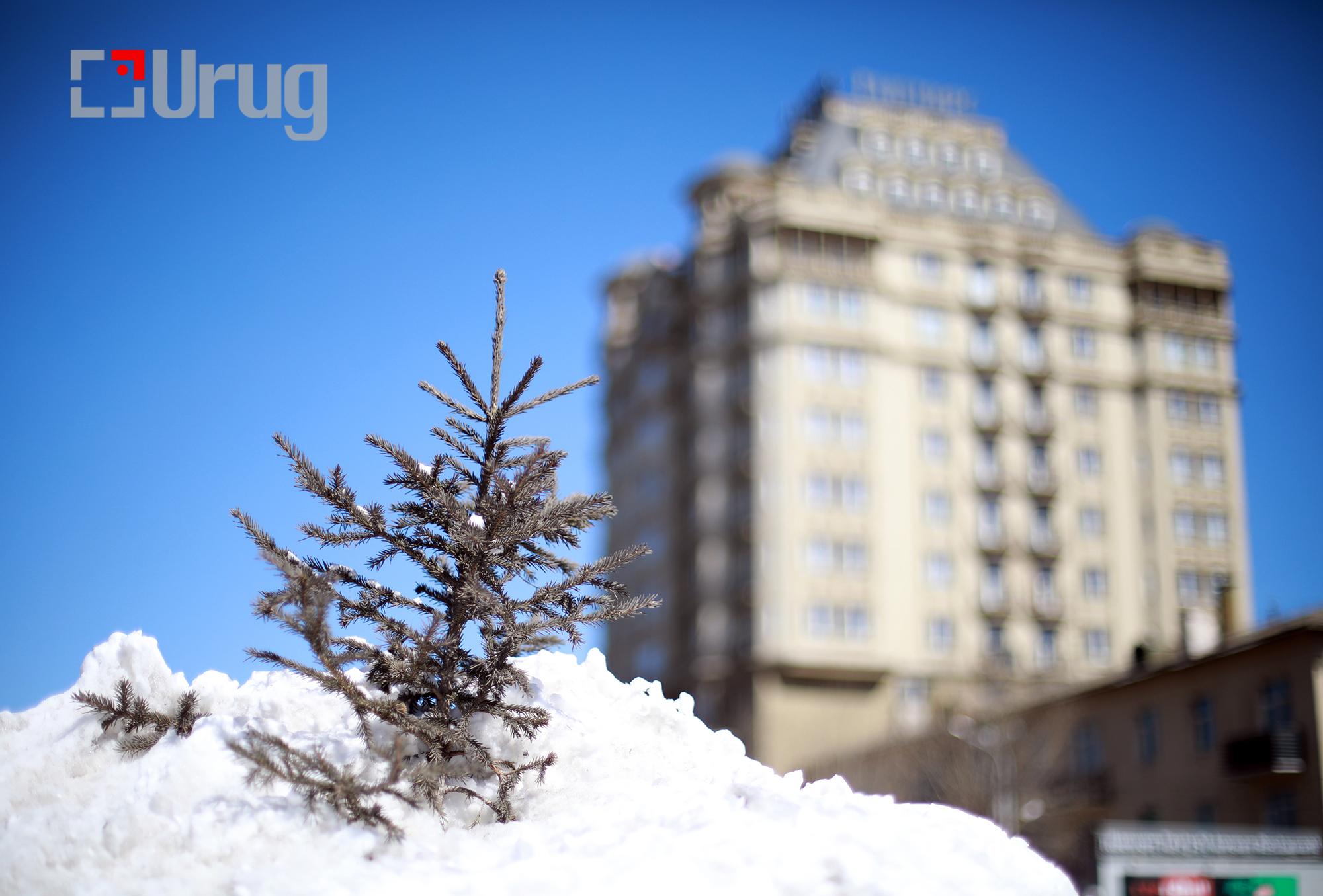 62455fe03ed7527da9669491