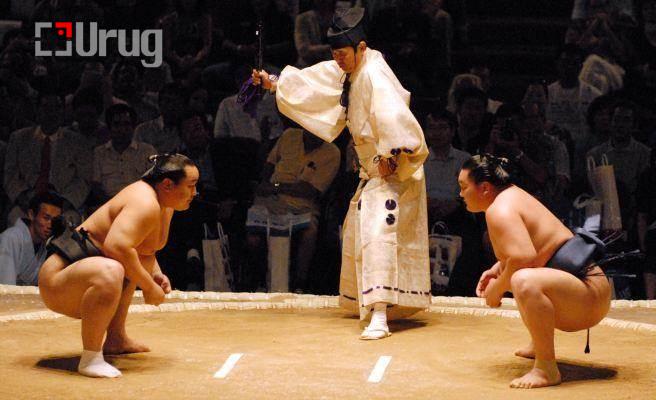 asa haku