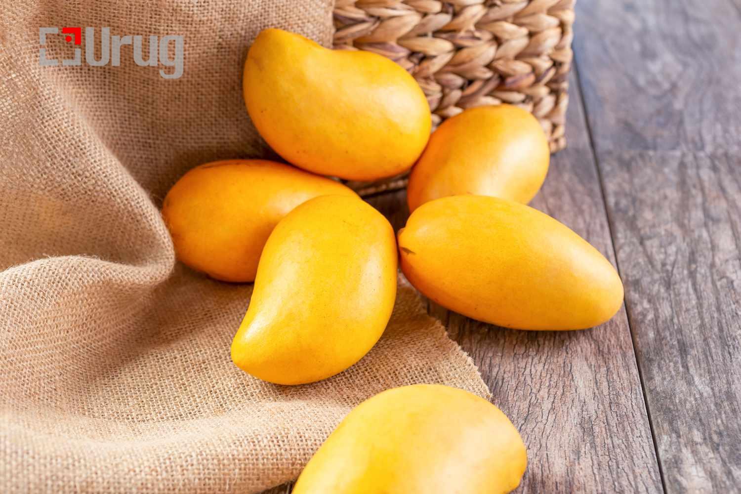 mango