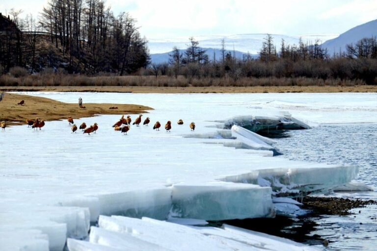 30009d57-a659-4eb5-99bf-35037ca375c8