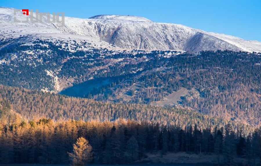 36728388566469d72e0561