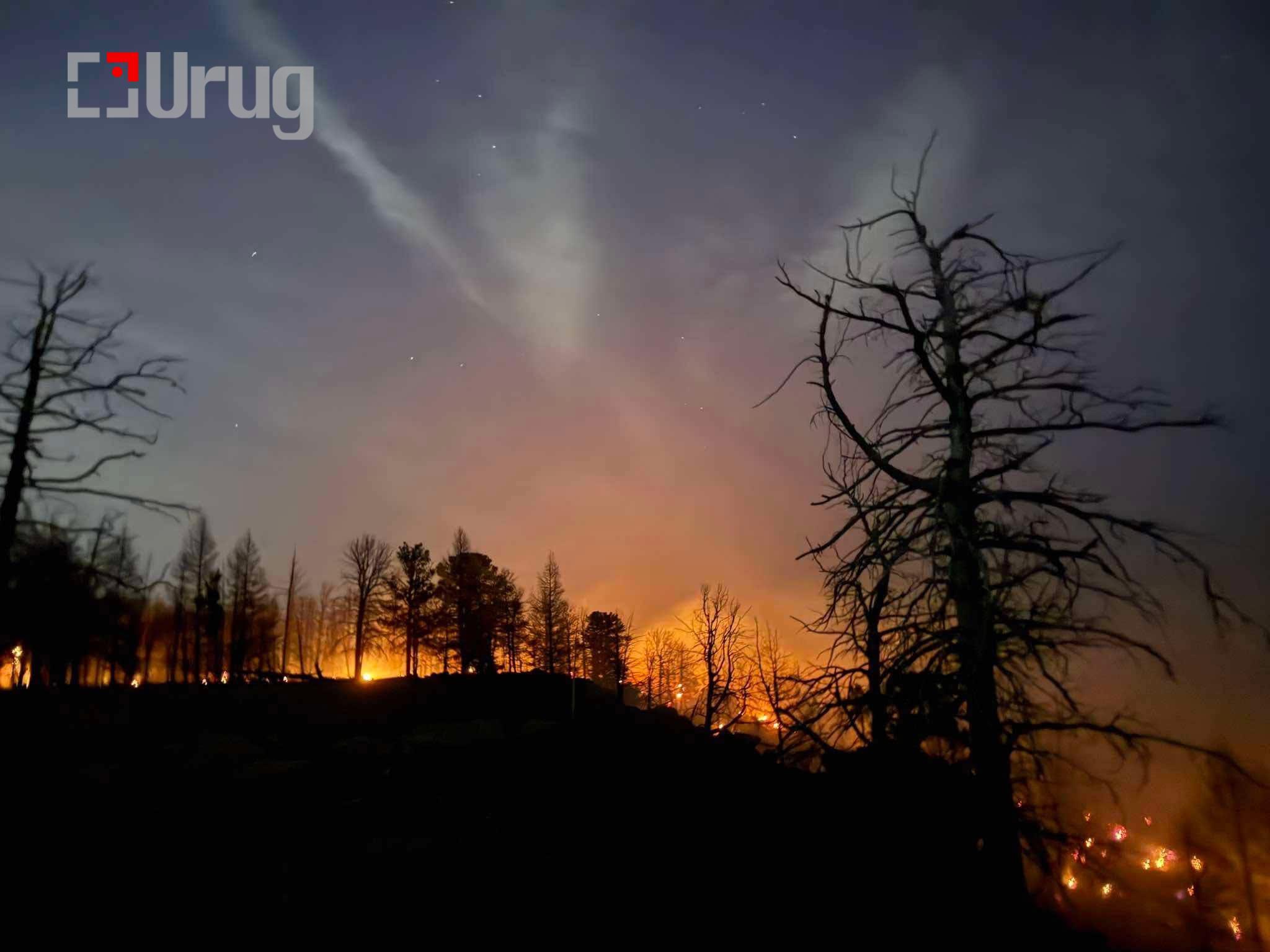 494108308_1860199338169873_4894077323315662765_n