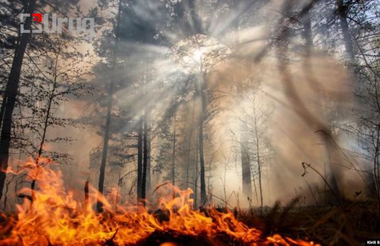 P0FDAOZ8DhFQQb2JKhC8-small