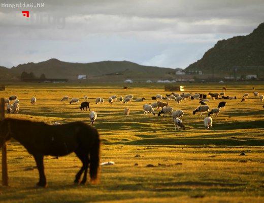 PIC_NEWS_2016_01_1451923982_267949_X520