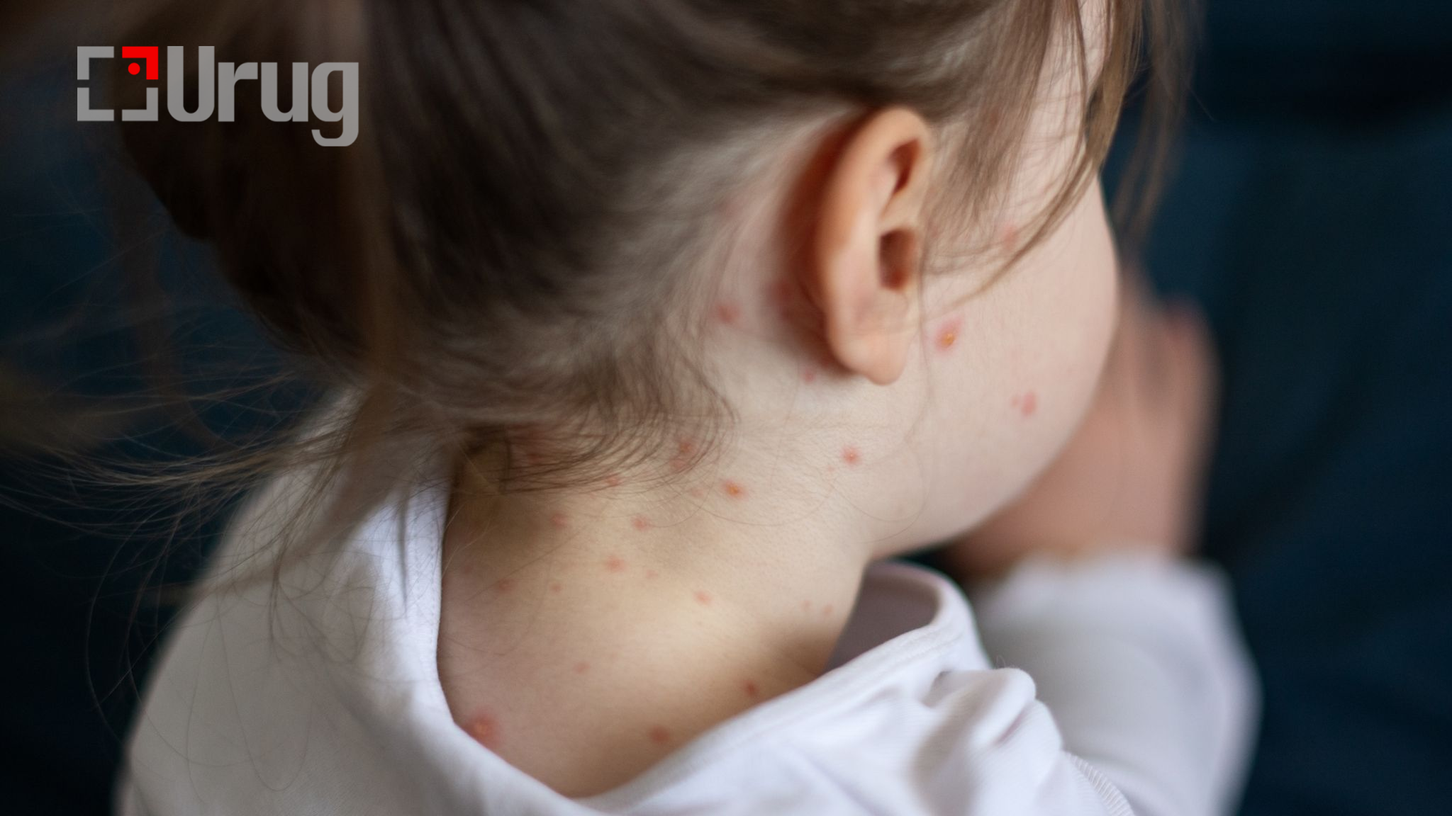 image_2024-03-28_131306111