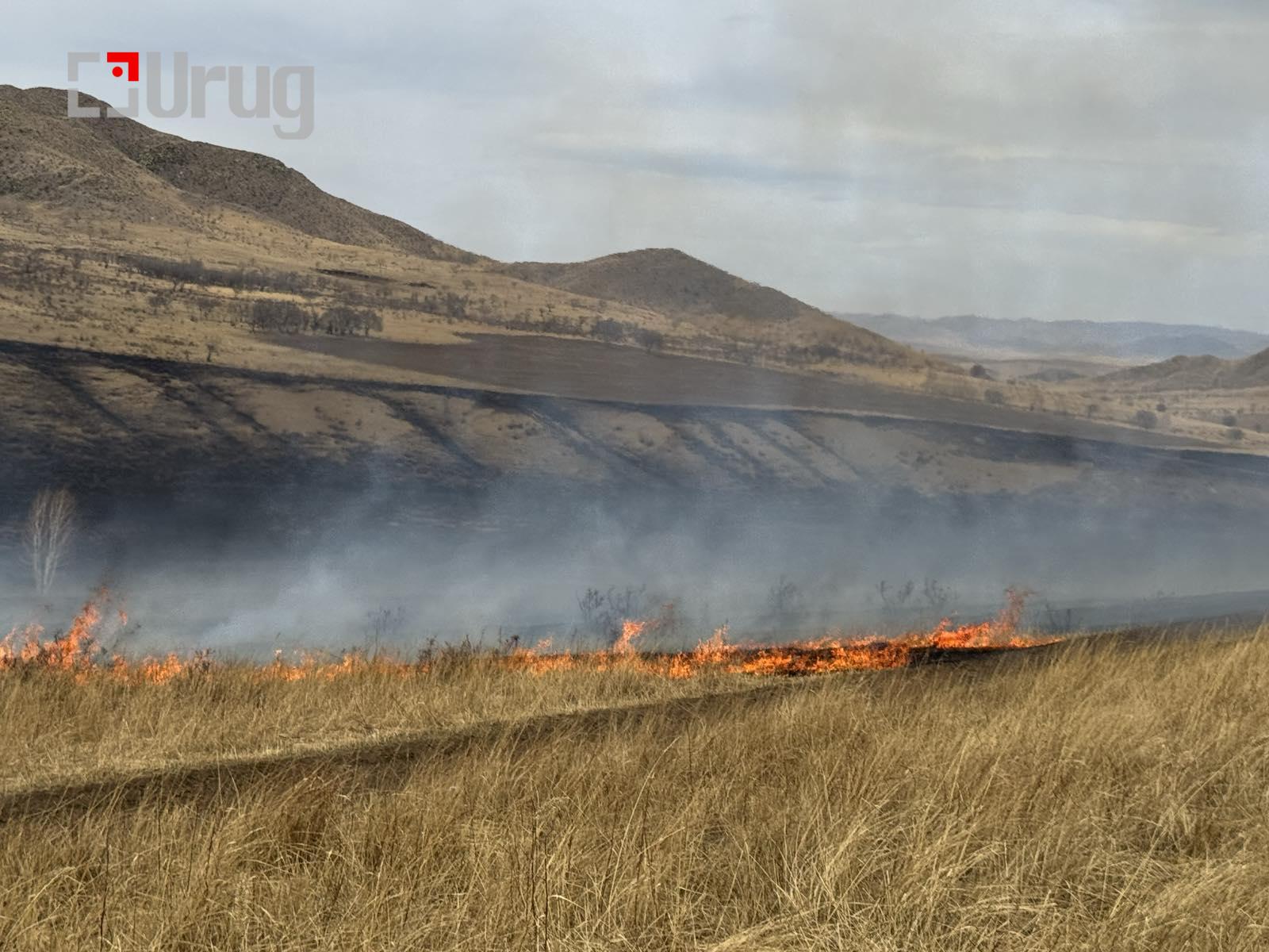 viber_image_2025-04-28_16-46-33-732