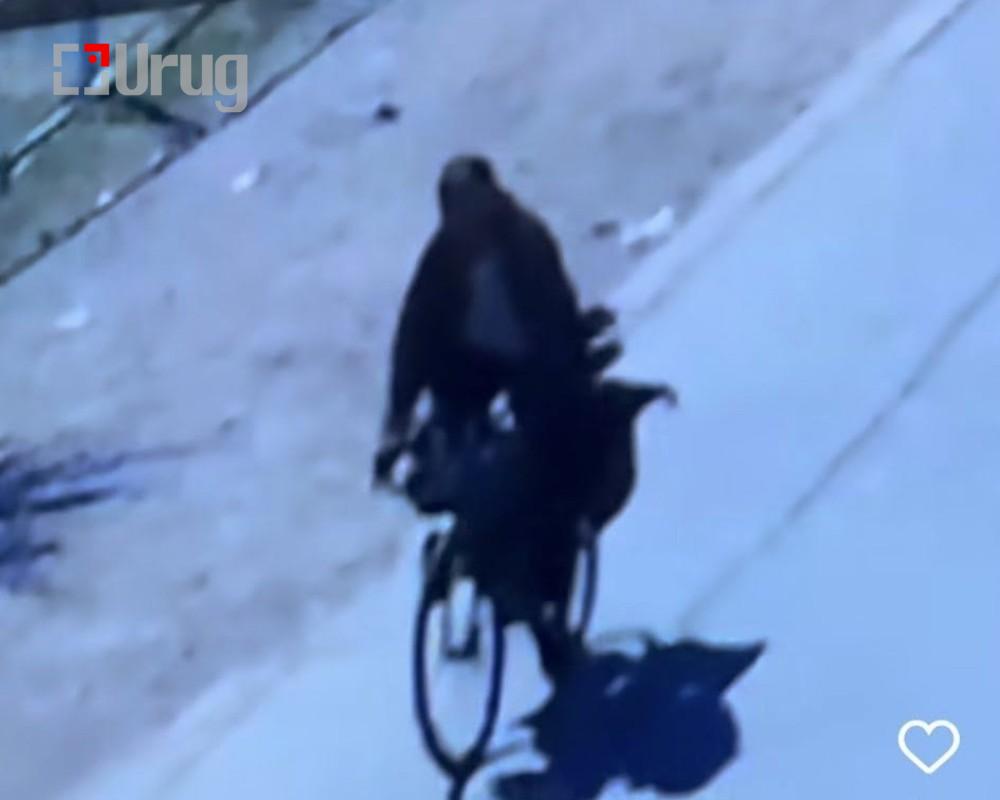 331092-27052025-1748309968-710452898-499870793_9580510472070826_7053932376696655257_n