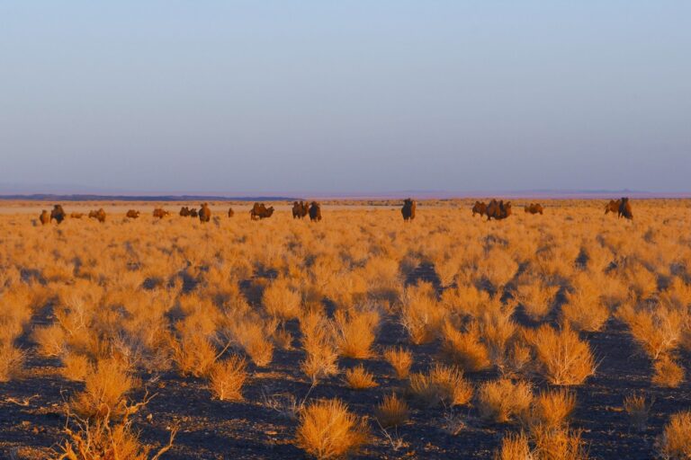 485878292_2676330282555266_540731928743758469_n