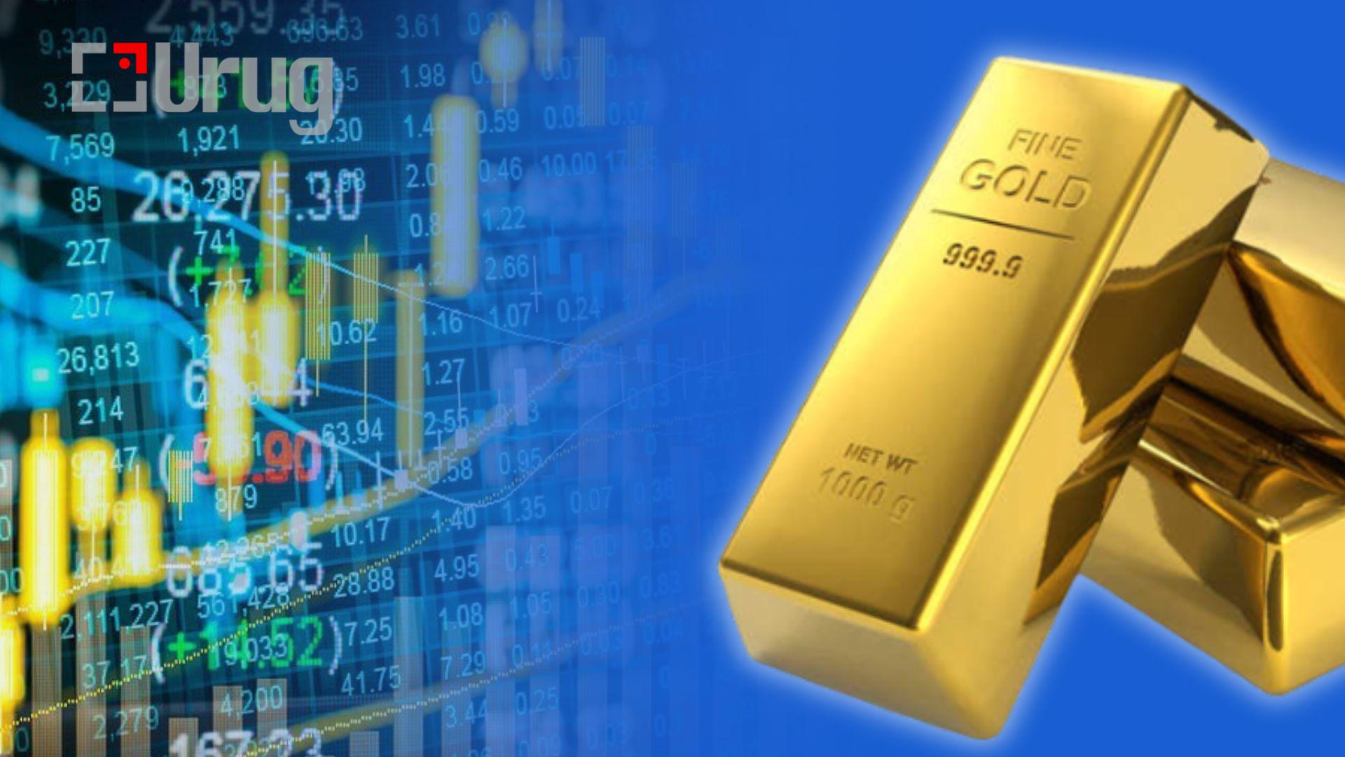 494815745_1481909222838408_8119109198206017321_n