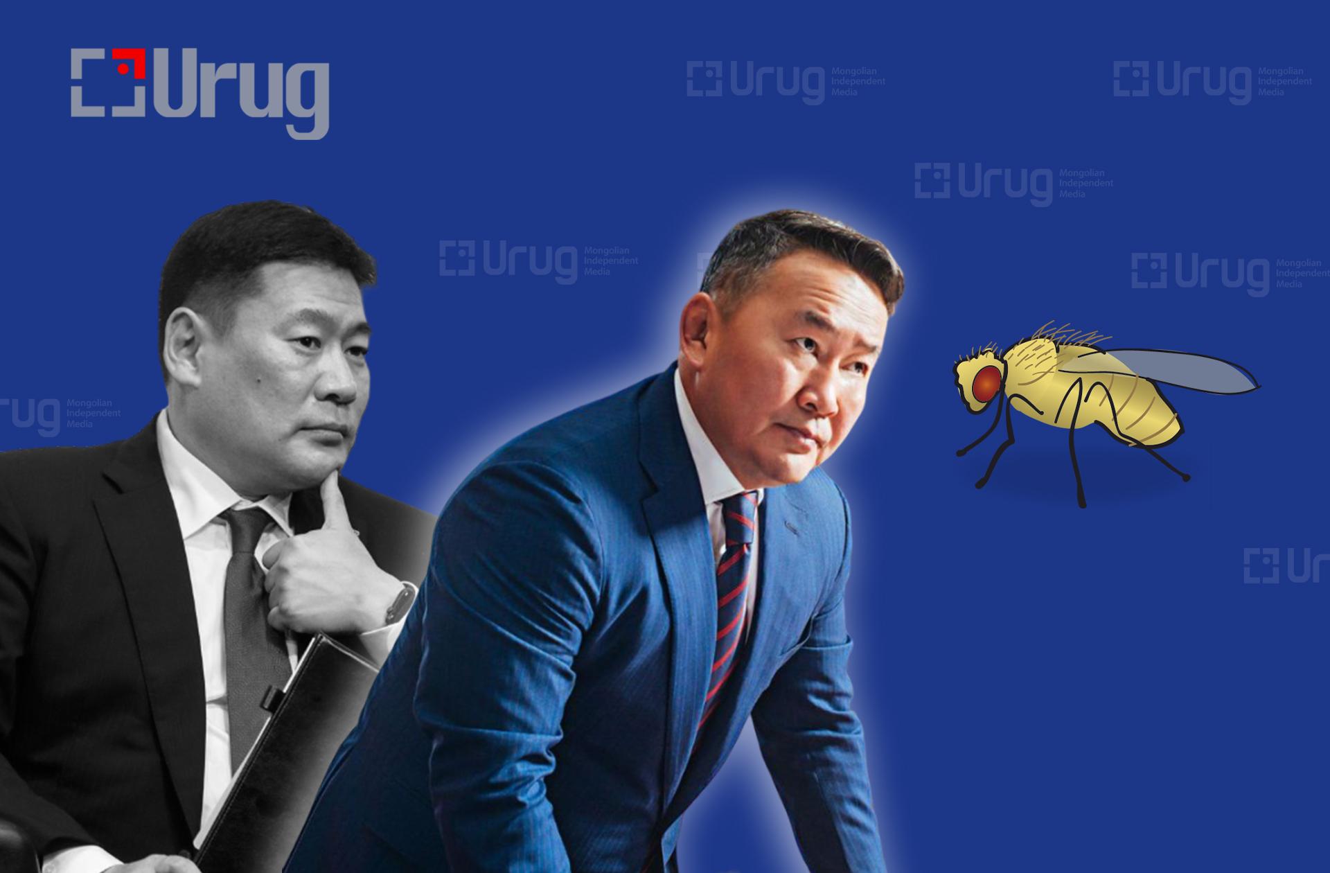 494821723_1821547705095435_8518725982298688587_n