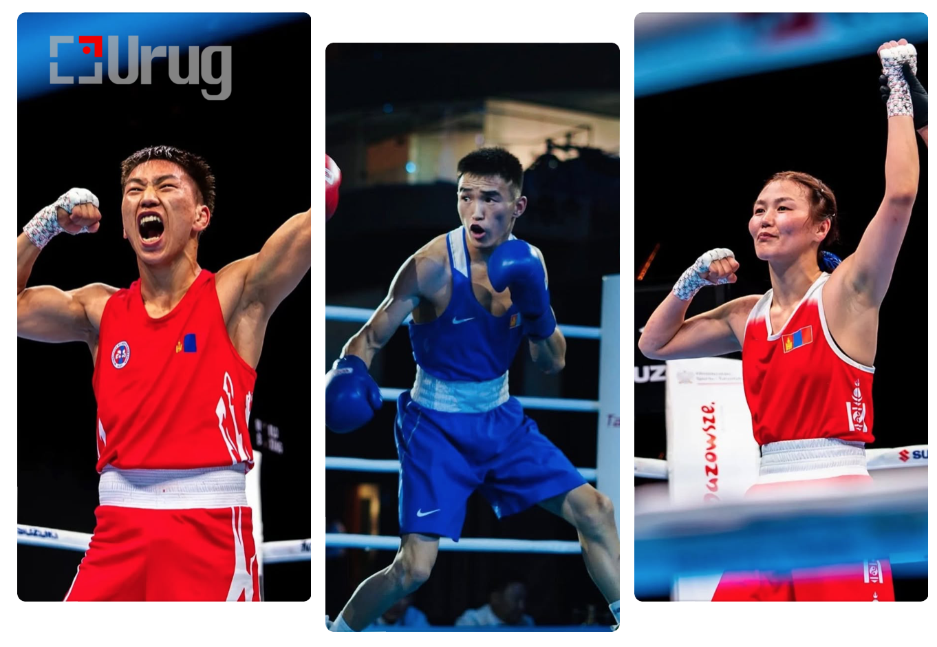 Screen Shot 2025-05-17 at 11.53.58