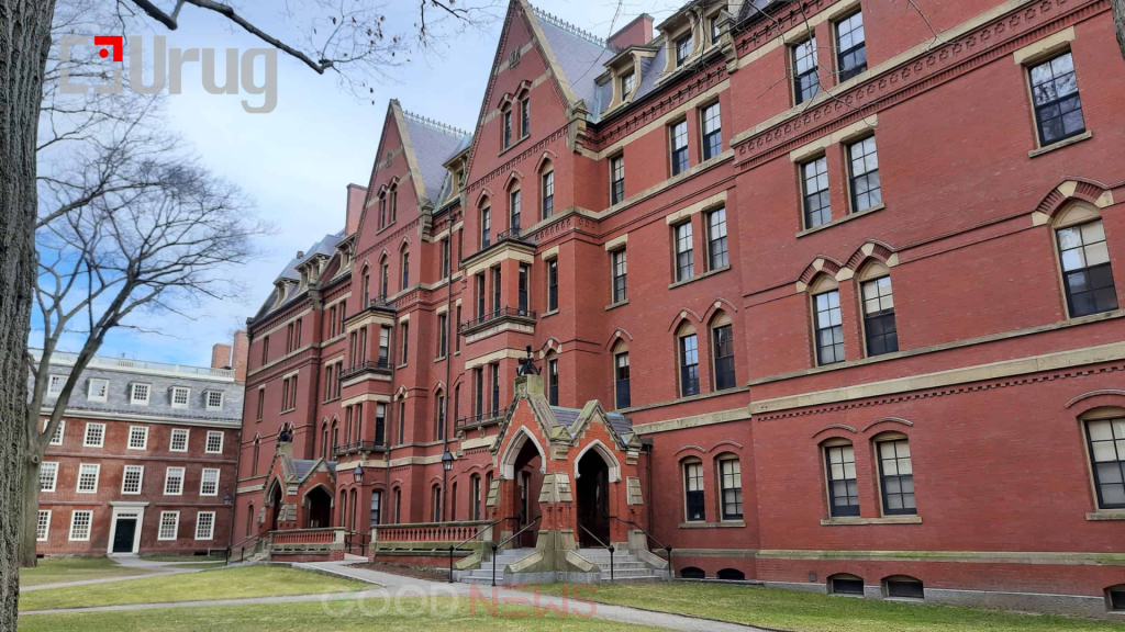 Untitled-design-36-1-1024×576