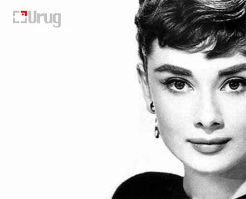 file1785568_x-79732f12