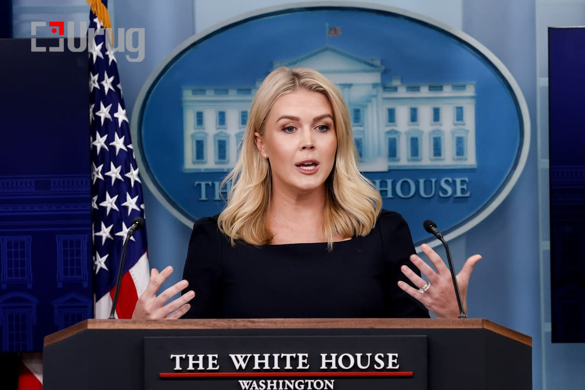 image_2025-05-30_113854104