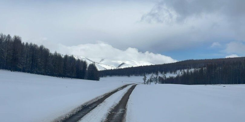 zam-2-810×500