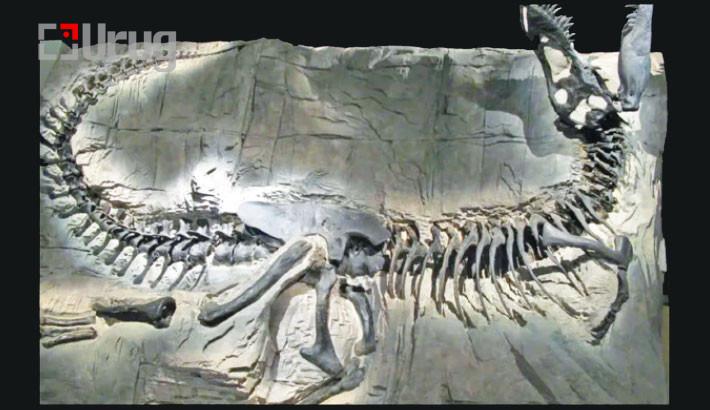 1749748844-018c71b3013343b0cdb26ebf2d279392