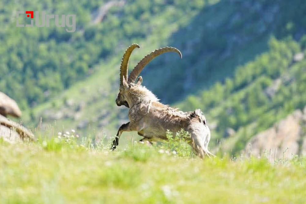 332086-24062025-1750740439-1298422839-Untitled-1