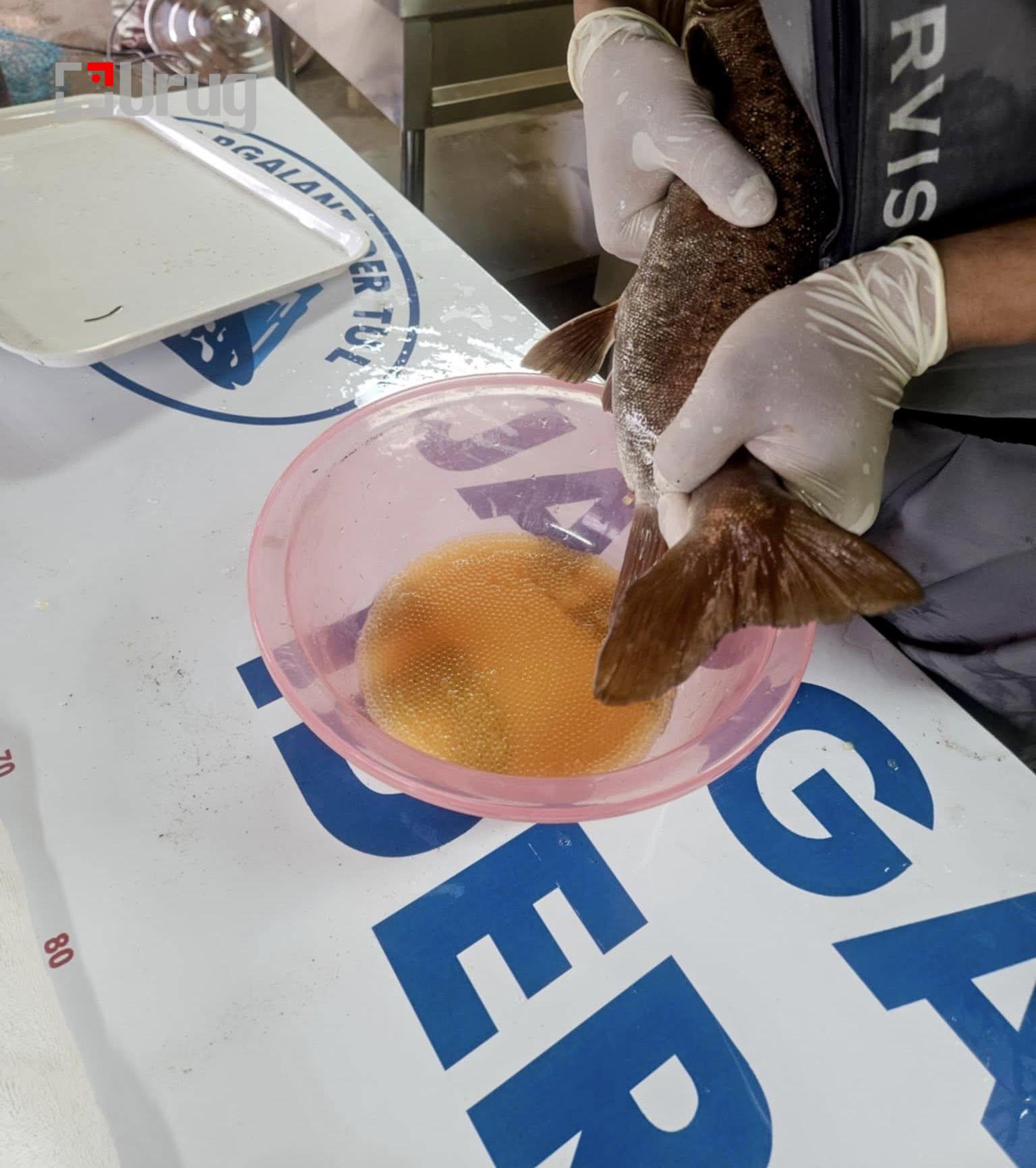 499603129_122107849514865343_4186045204500673553_n