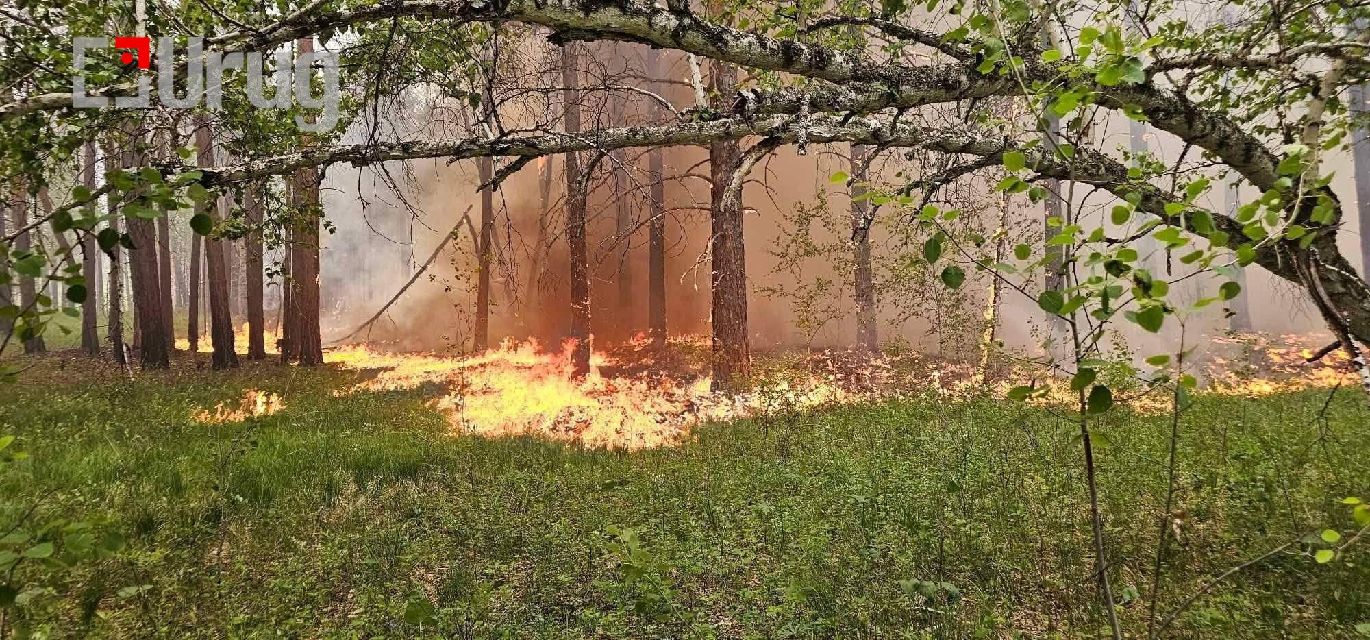 511097440_725495236510265_2201862377467165106_n