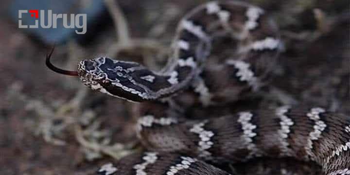 511269884_1103174524957303_7159624673953335914_n