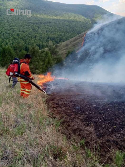 513245346_1195546672584009_8131445983752486607_n