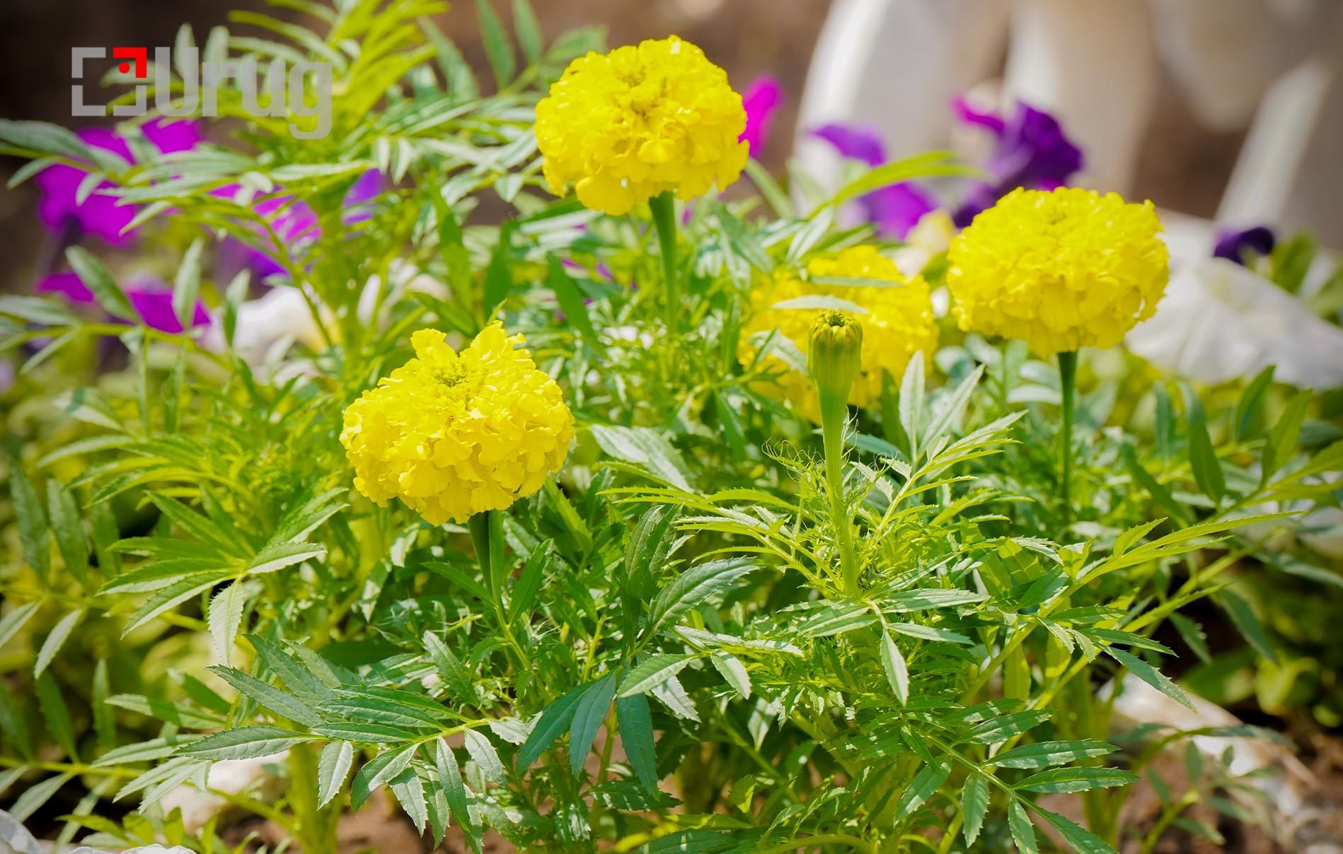 6847aa4558634c4a0f56012f