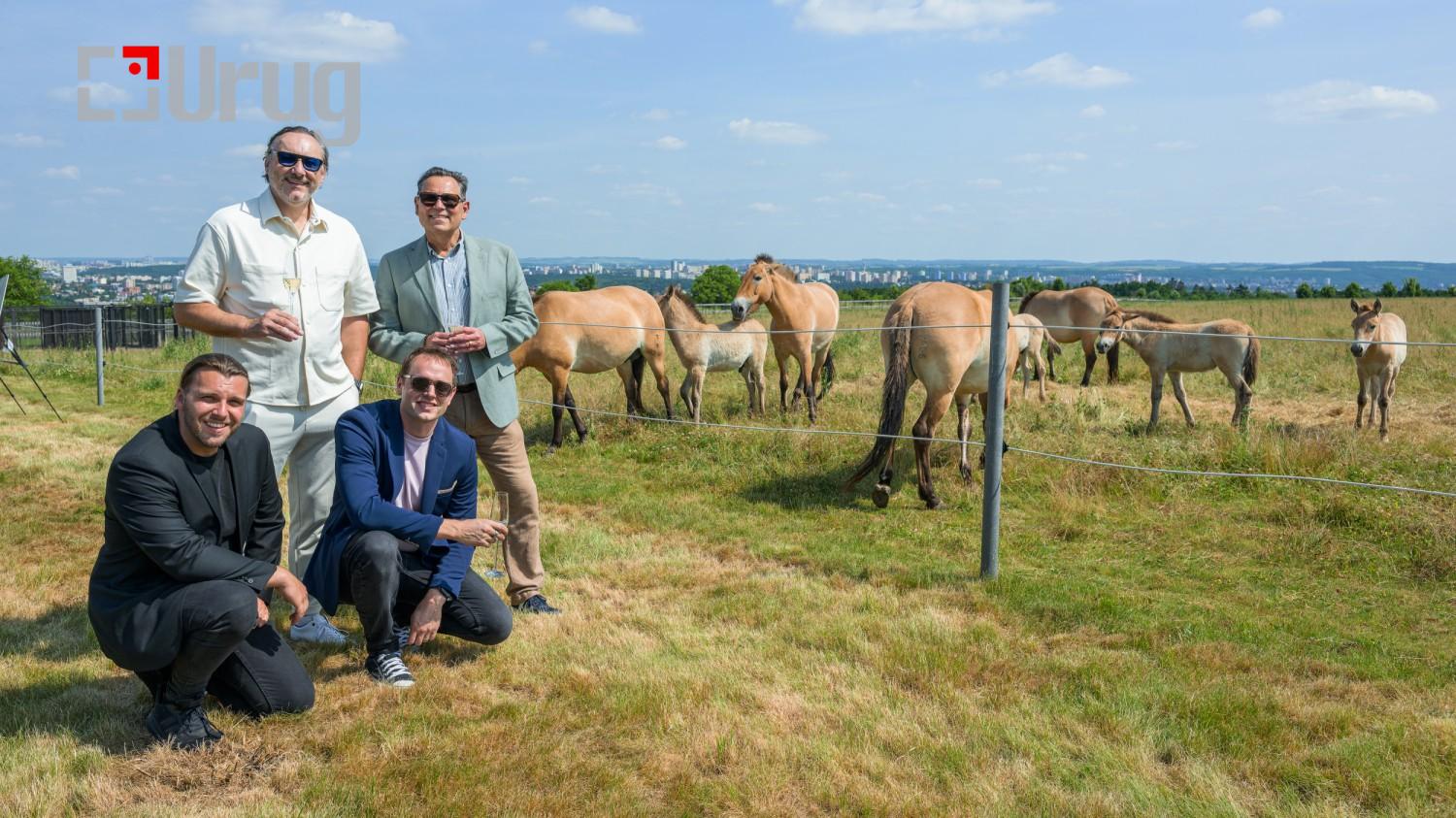 Foto_2_Z09_9278-163611-146763295