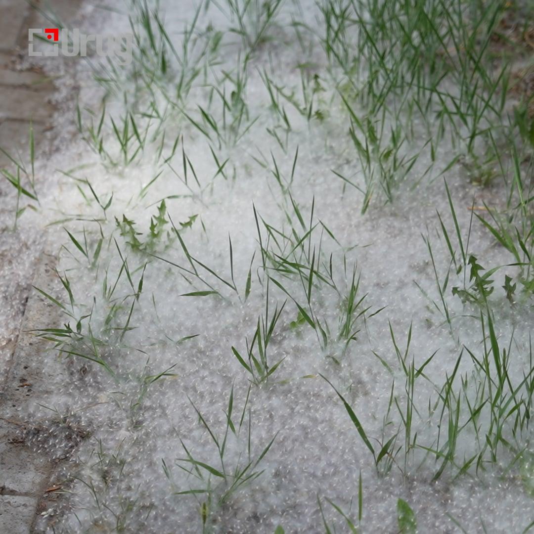 ebb3ca06-77db-4b83-a57b-71ad13cfcc22