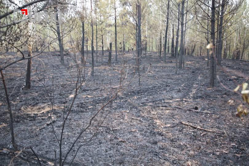 515011240_1173161668172391_6830860156671277566_n