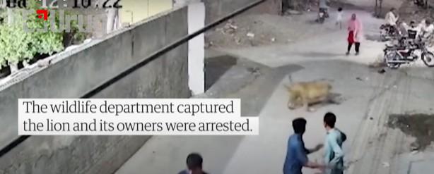 Screenshot 2025-07-07 151103