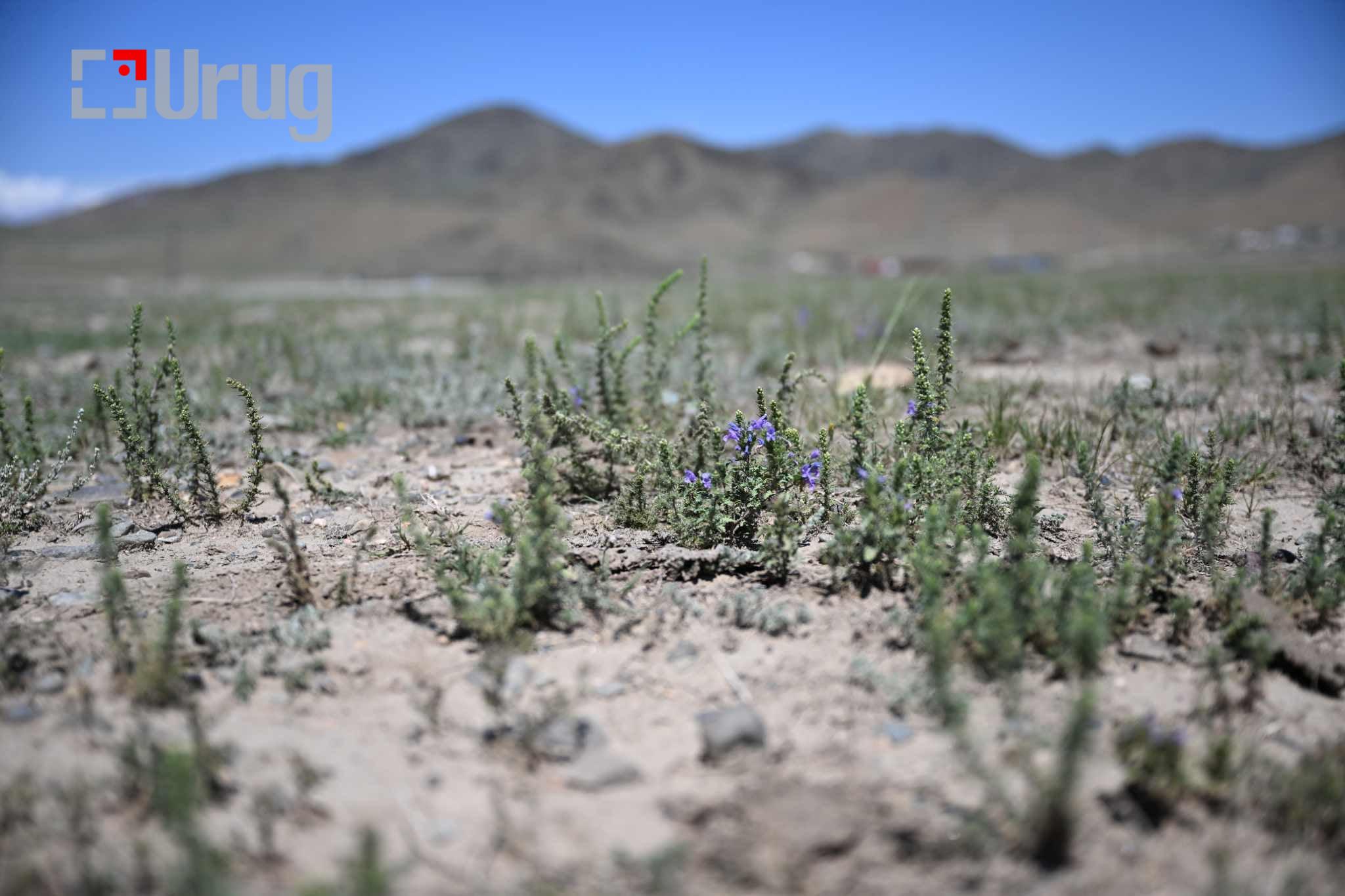 att.Qs3alYq1m-IGhbU-4RrbF08EmqXoq0qErKw46xGyAnA